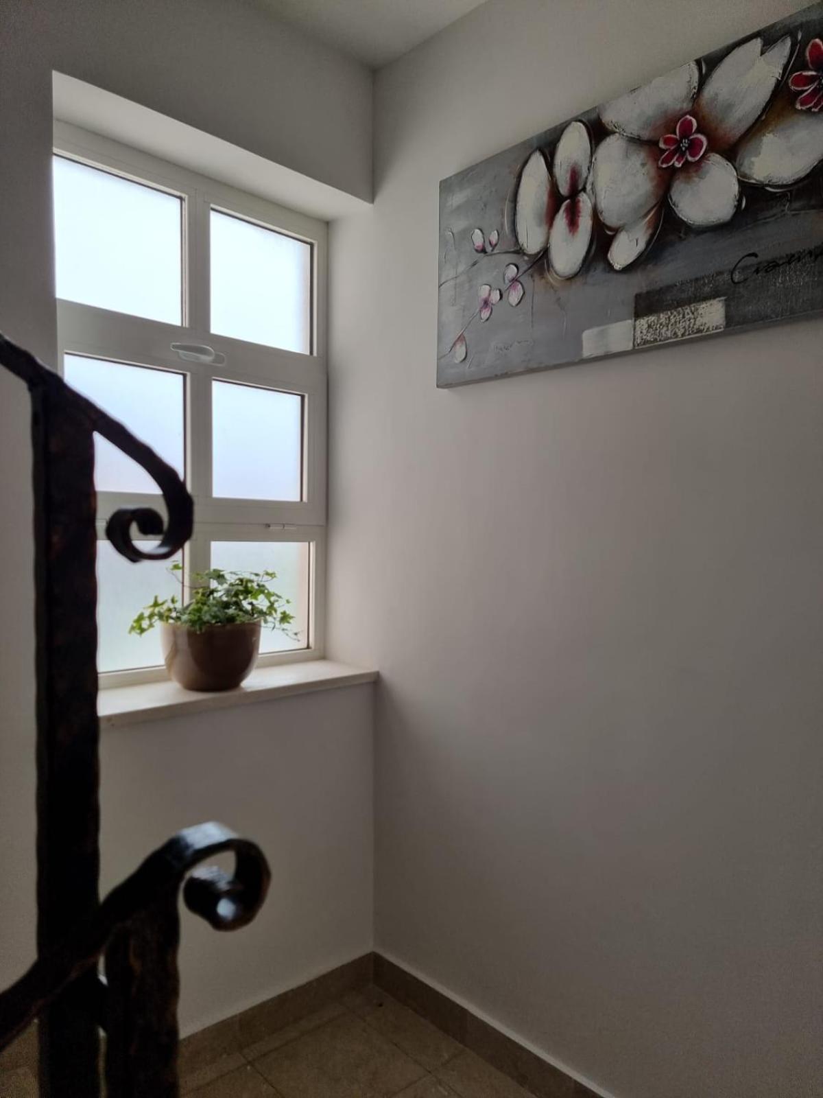 Vila Bonbon 2 บีโอกราดนาโมรู ภายนอก รูปภาพ